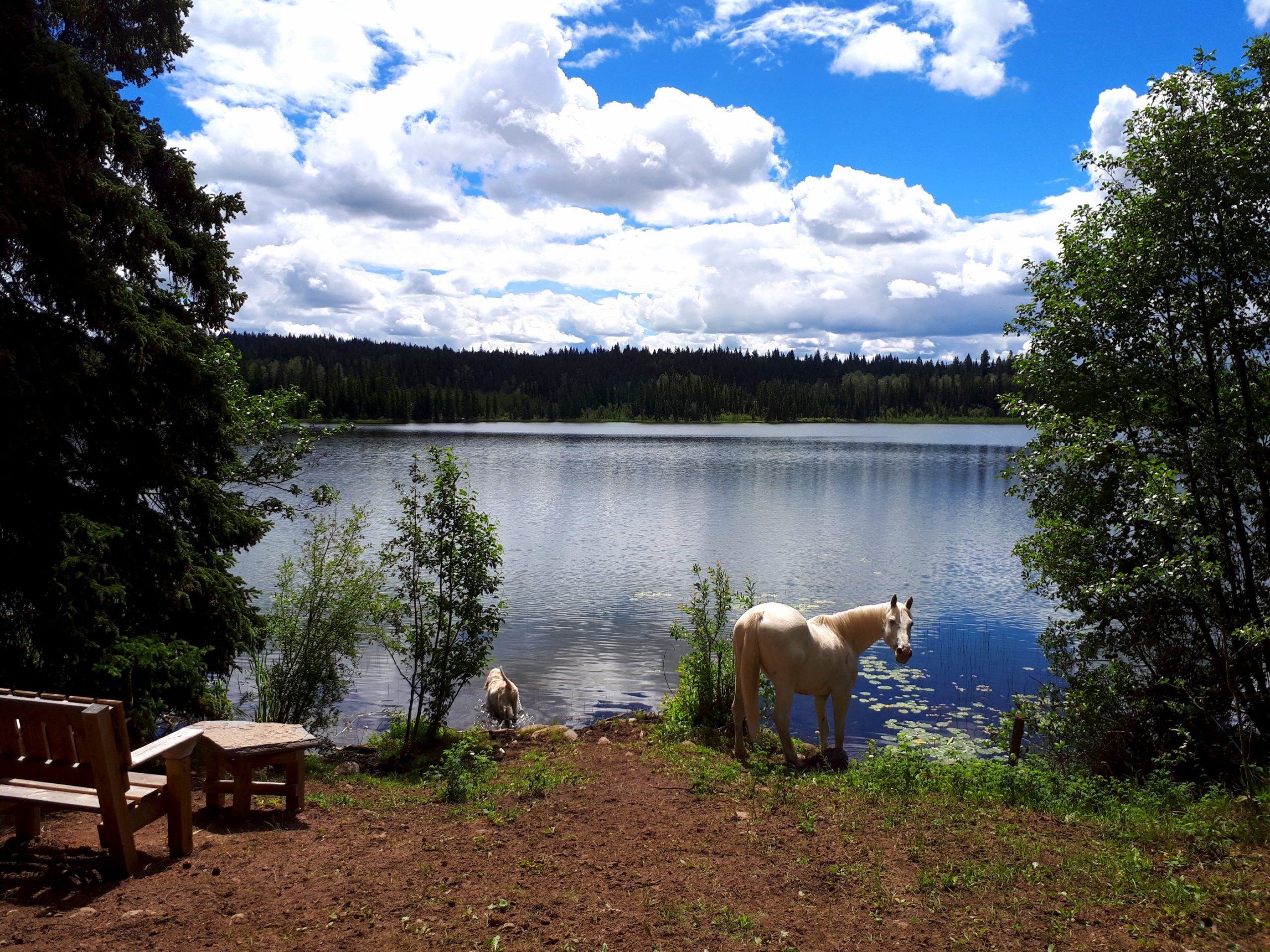 Wettstone Guest Ranch