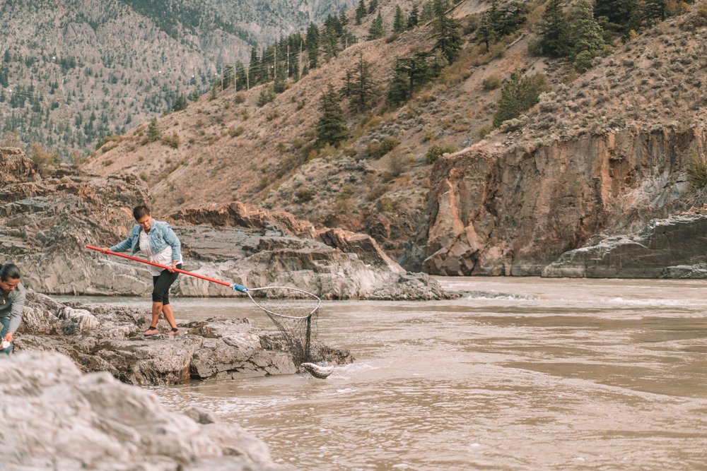 fishing in the Fraser River with Xwisten Experience Tours