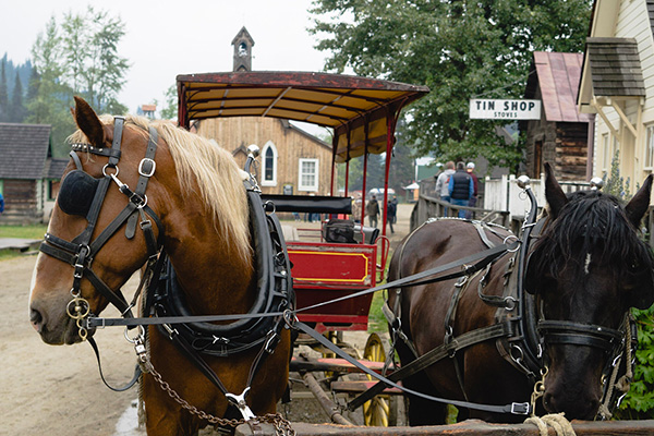 Barkerville Historic Town & Park