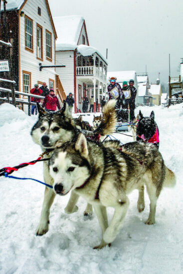 dog sledding race