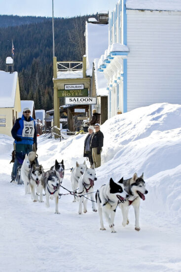 dog sledding race