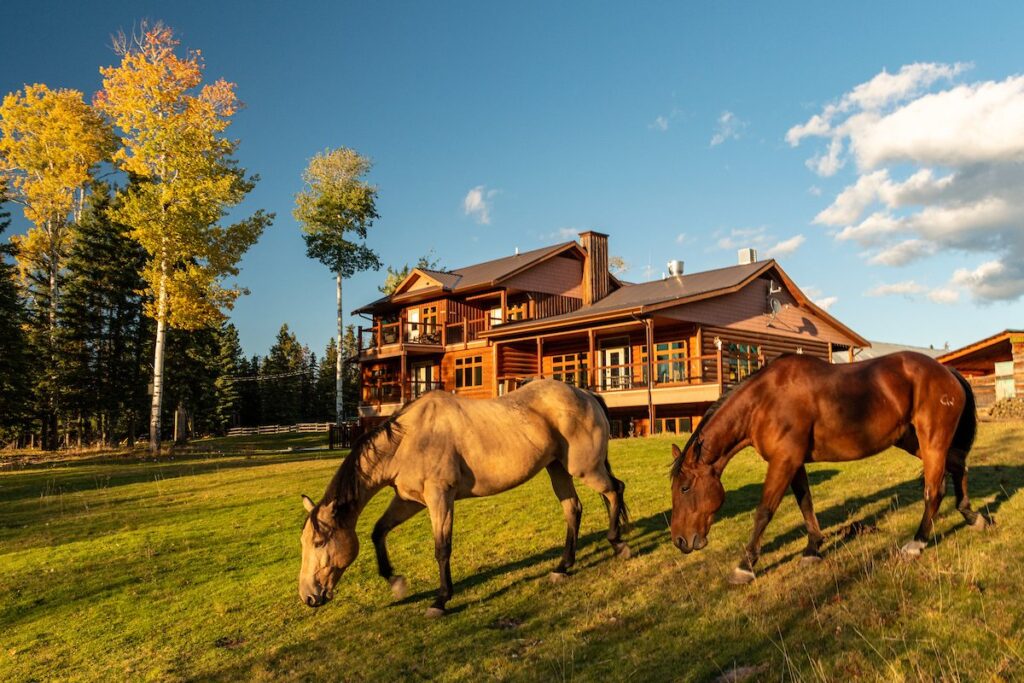 Free Rein Guest Ranch/Michael Bednar