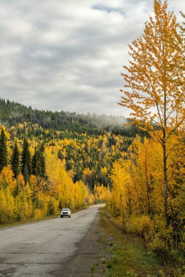 The top 10 ways to experience fall in British Columbia - Gold Rush Trail