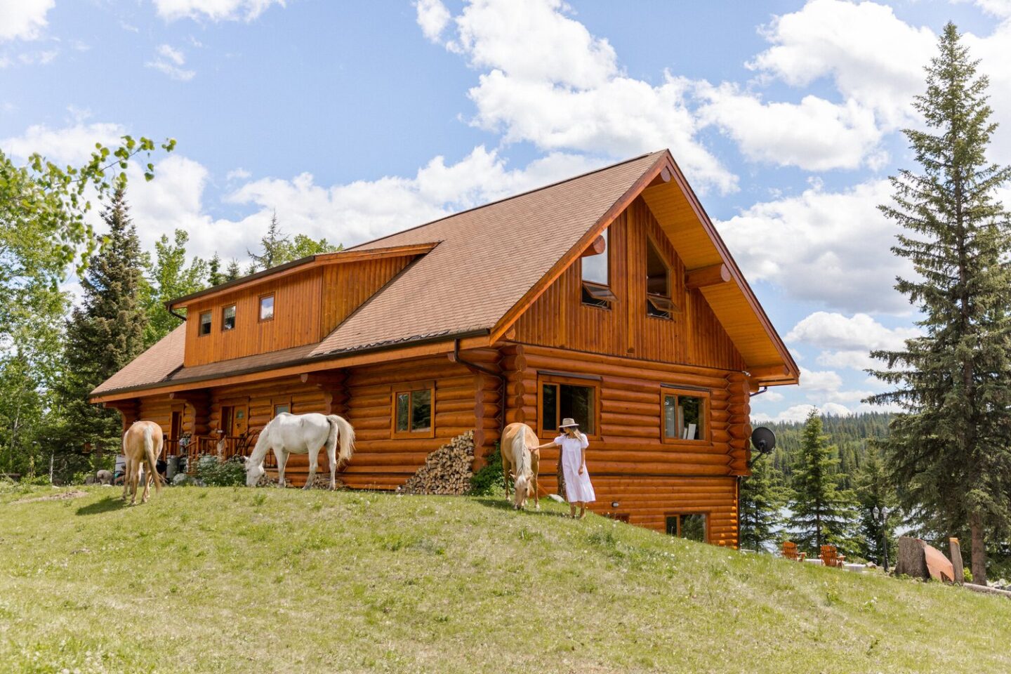 Cabin with a horse in front of it.