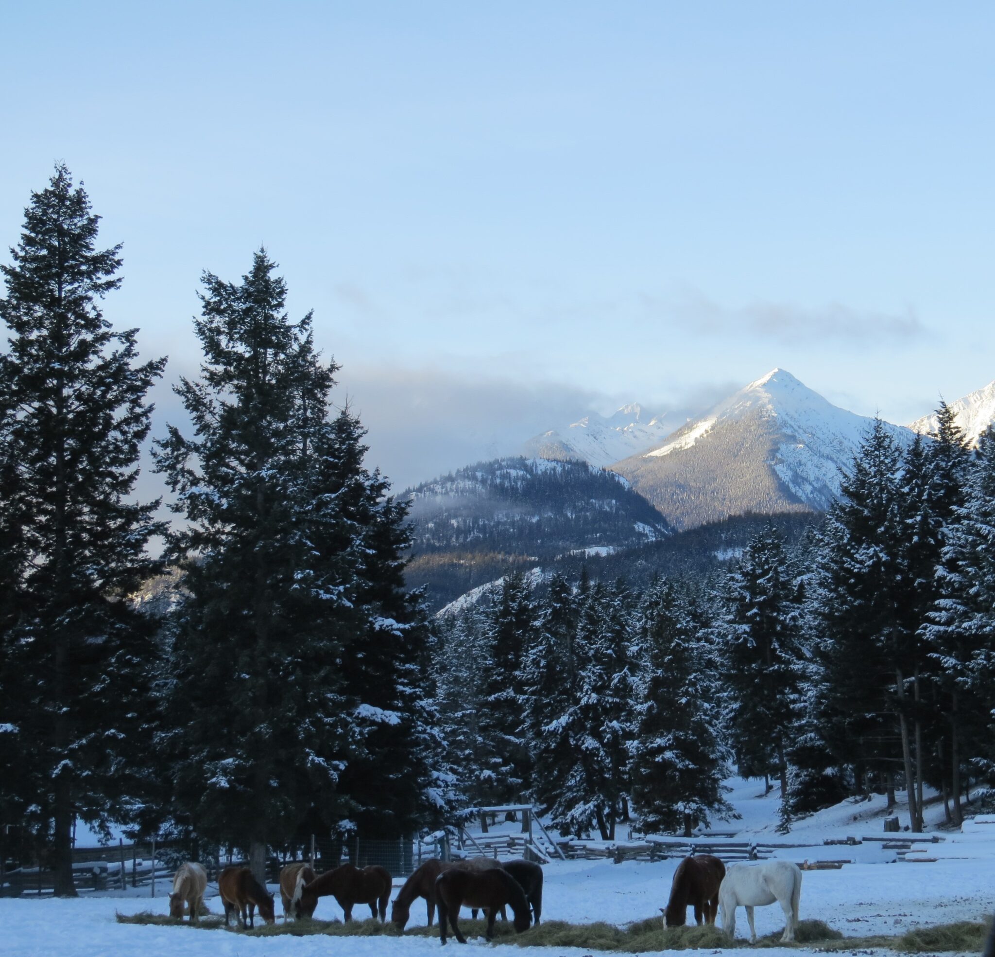 BC's Cozy Cabin Capital! 24 Stays To Choose From - Gold Rush Trail