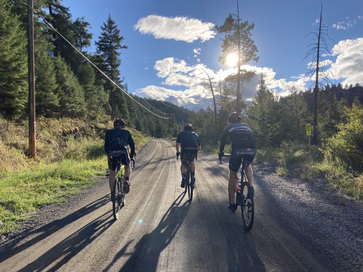 best bike for crushed gravel trails