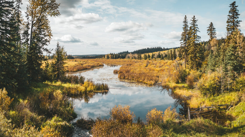 Fall gold rush trail