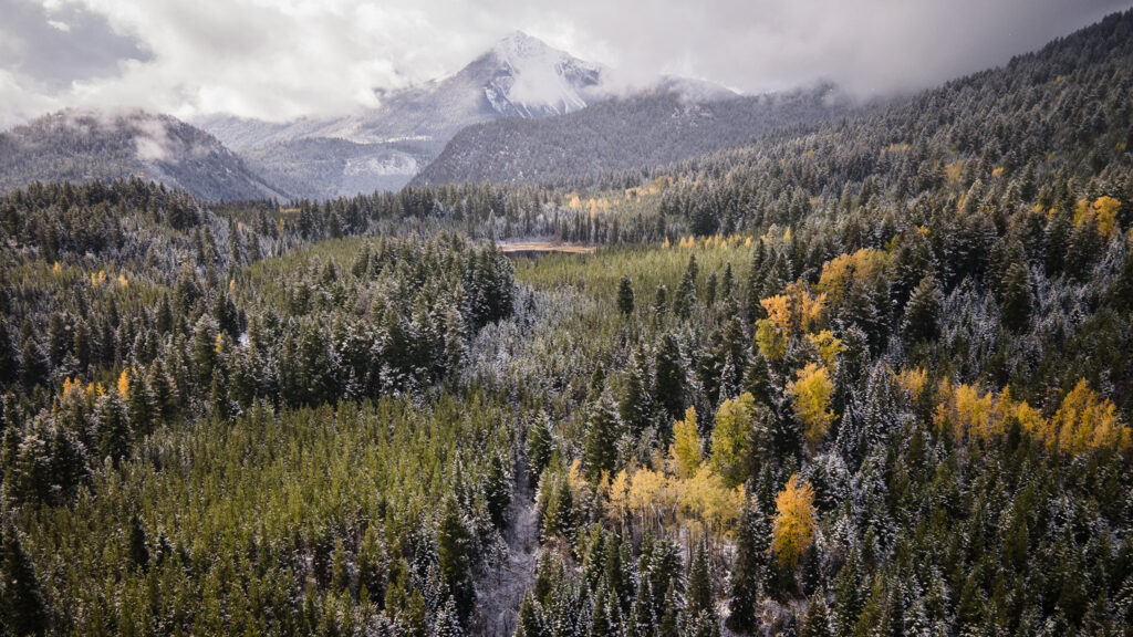 fall gold rush trail